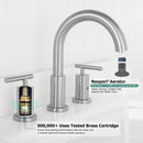 Parlos Two Handle 8 inch Widespread Three Hole Bathroom Sink Faucet Supply Hoses Basin Faucet Mixer Tap Brushed Nickel(1433102)