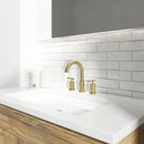 Parlos Two Handle 8 inch Widespread Three Hole Bathroom Sink Faucet Supply Hoses Basin Faucet Mixer Tap Brushed Nickel(1433108)