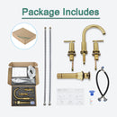 Parlos Two Handle 8 inch Widespread Three Hole Bathroom Sink Faucet Supply Hoses Basin Faucet Mixer Tap Brushed Nickel(1433108)