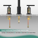 PARLOS Widespread 8 inch Bathroom Sink Faucet 3 Hole Vanity Faucet with cUPC Faucet Supply Lines, Matte Black,1434104D