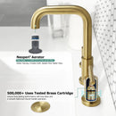 Parlos 8 inch Widespread Bathroom Sink Faucet 2-Handle Brushed Gold with All Metal Pop-up Drain & Faucet Supply Lines(1434108)