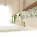 PARLOS 2-Handle Widespread 8 inch Bathroom Sink Faucet 3 Hole Vanity Faucet with cUPC Faucet Supply Lines, Brushed Gold, 1.2GPM, 1437608PD