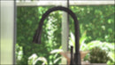 NEWATER Single Handle Pull Down Kitchen Faucet with Deck Plate & Supply Lines, Matte Black, 9001011