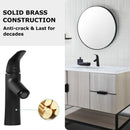 PARLOS Single Handle Bathroom Sink Faucet, Single Hole Bathroom Faucet with Pop Up Drain, Deck Plate and Cupc Water Supply Lines, Matte Black, 1339704