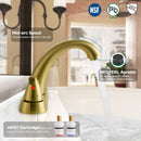 PARLOS 2-Handle Bathroom Sink Faucet with All Metal Pop-up Drain &Supply Hose Lead-Free cUPC Deck Mounted Brushed Gold, 1.2GPM (1359808P)