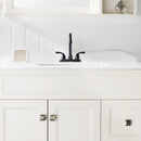 PARLOS Two-Handle Bathroom Sink Faucet with Metal Drain Assembly and Supply Hose Lead-Free cUPC Mixer Double Handle Tap Laundry Utility Faucet, Oil Rubbed Bronze, 1.2 GPM (13592P)