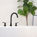 PARLOS 2-Handle Widespread High Arc Roman Tub Faucet Tub Filler with Valve & Faucet Supply Lines, Matte Black, Demeter 1436204