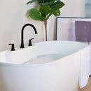 PARLOS 2-Handle Widespread High Arc Roman Tub Faucet Tub Filler with Valve & Faucet Supply Lines, Matte Black, Demeter 1436204