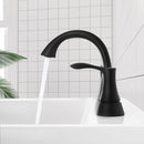 PARLOS Matte Black 2-Handle Bathroom Sink Faucet with Metal Drain Assembly and and Faucet Supply Lines (1.2GPM), 1362504P
