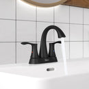 PARLOS Matte Black 2-Handle Bathroom Sink Faucet with Metal Drain Assembly and and Faucet Supply Lines (1.2GPM), 1362504P