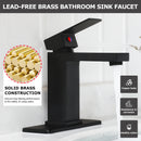 EZANDA Brass Single-Handle Bathroom Sink Faucet with Escutcheon, Pop Up Drain Stopper & Water Supply Hoses, Matte Black (14253)