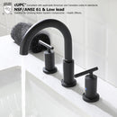 Parlos Two Handle 8 inch Widespread Three Hole Bathroom Sink Faucet Supply Hoses Basin Faucet Mixer Tap Matte Black 1433104