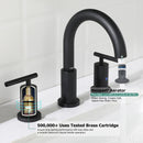 Parlos Two Handle 8 inch Widespread Three Hole Bathroom Sink Faucet Supply Hoses Basin Faucet Mixer Tap Matte Black 1433104