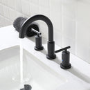 Parlos Two Handle 8 inch Widespread Three Hole Bathroom Sink Faucet Supply Hoses Basin Faucet Mixer Tap Matte Black 1433104