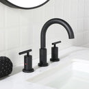 Parlos Two Handle 8 inch Widespread Three Hole Bathroom Sink Faucet Supply Hoses Basin Faucet Mixer Tap Matte Black 1433104