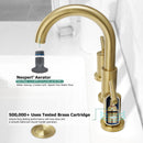 PARLOS 2-Handle Widespread 8 inch Bathroom Sink Faucet 3 Hole Vanity Faucet with cUPC Faucet Supply Lines, Brushed Gold, 1433108D