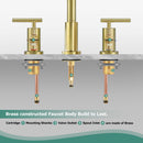 PARLOS 2-Handle Widespread 8 inch Bathroom Sink Faucet 3 Hole Vanity Faucet with cUPC Faucet Supply Lines, Brushed Gold, 1433108D
