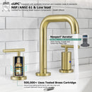 PARLOS Widespread 8 inch Bathroom Sink Faucet 3 Hole Vanity Faucet with cUPC Faucet Supply Lines, Matte Black, 1.2GPM, 1437508PD