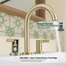 PARLOS 2-Handle Widespread 8 inch Bathroom Sink Faucet 3 Hole Vanity Faucet with cUPC Faucet Supply Lines, Brushed Gold, 1.2GPM, 1437608PD