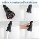 NEWATER Single Handle Pull Down Kitchen Faucet with Deck Plate & Supply Lines, Matte Black, 9001011