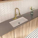 NEWATER Single Handle Pull Down Kitchen Faucet with Deck Plate & Supply Lines, Brushed Gold, 9001041