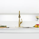 NEWATER Single Handle Pull Down Kitchen Faucet with Deck Plate & Supply Lines, Brushed Gold, 9001041