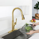 NEWATER Single Handle Pull Down Kitchen Faucet with Deck Plate & Supply Lines, Brushed Gold, 9001041