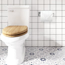 PARLOS Brass Toilet Paper Holder Tissue Roll Hanger for Bathroom & Kitchen Wall Mounted,Brushed Nickel,Doris (2102202)