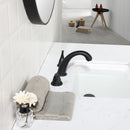 PARLOS Widespread Two Handles Bathroom Sink Faucet Matte Black (1435004PD)