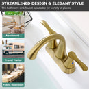PARLOS 2-Handle Bathroom Sink Faucet with Drain assembly and Water Supply Hose, Brushed Gold, Demeter  1362508P
