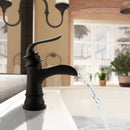 PARLOS Single Handle Bathroom Faucet with Deck Plate, Metal Pop Up Drain and cUPC Faucet Supply Lines, Matte Black  (1434904)