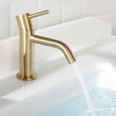 EZANDA Brass Single Handle Bathroom Faucet with Pop-up Sink Drain Assembly & Faucet Supply Lines, Brushed Gold (1431108)